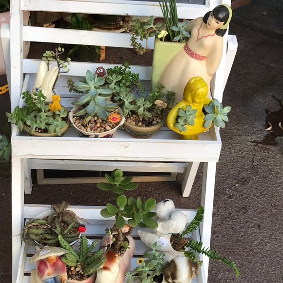 Meet your Posher, Lei - Picture 12 of 15